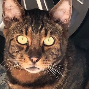 Meet your Posher, Mary